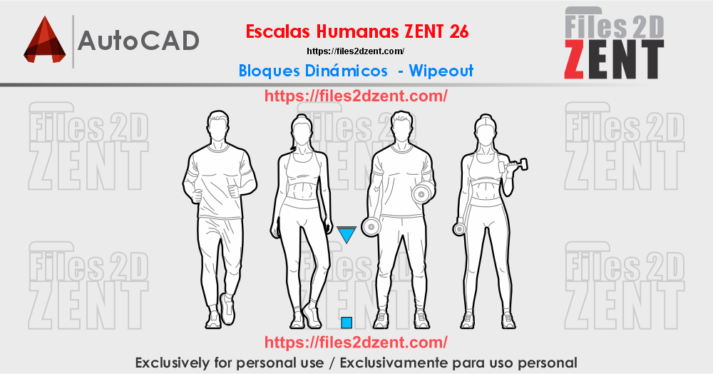 ESCALA HUMANA ZENT 26 - Bloque Dinámico Wipeout