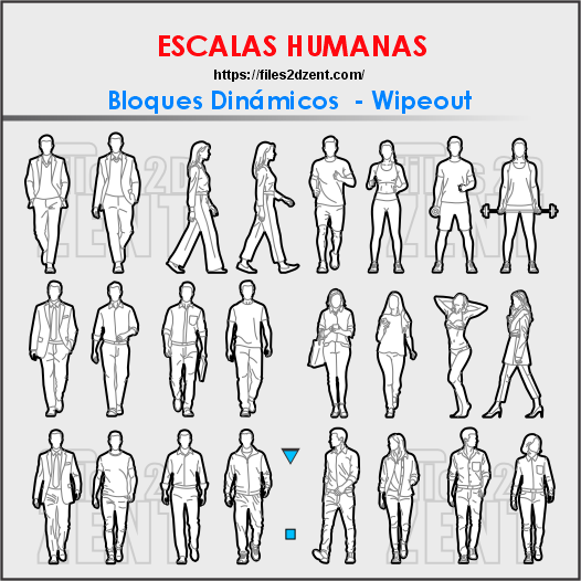 Cargar video: 